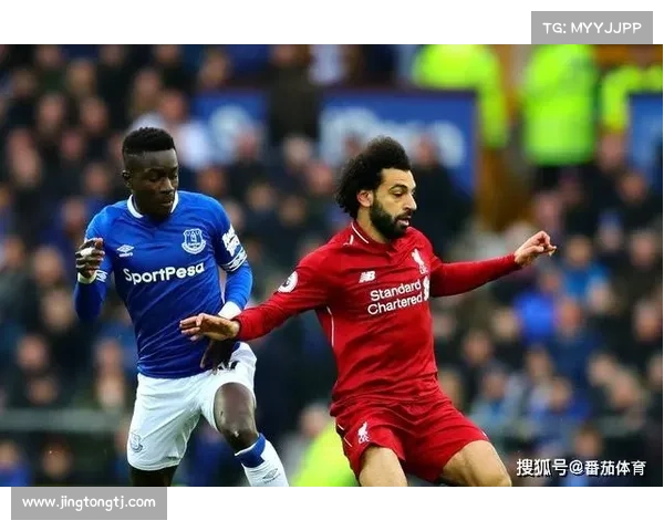 2017散打KO赛事巅峰热血对决激情碰撞精彩瞬间全纪录