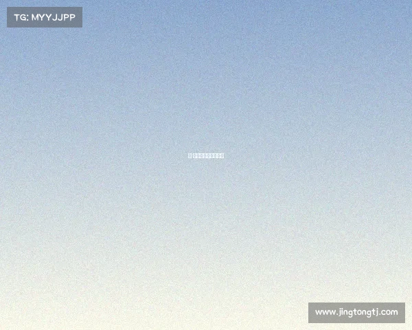 棋 赛事管理、棋类赛事